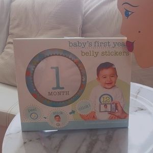 4/$20 Baby First Year Belly Stickers Monthly Photo